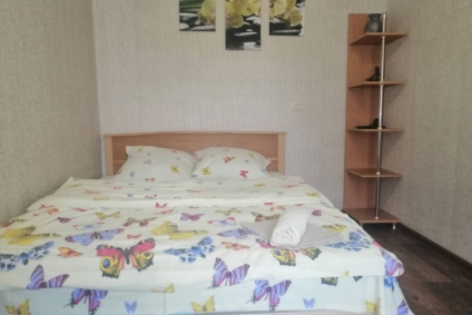 Квартира в центре города