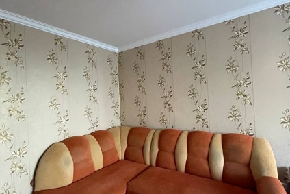 Квартира на сутки в Кобрине